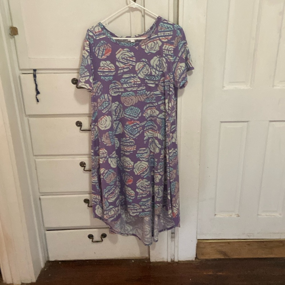 Lularoe Carly Swing Shirt Dress Hi Lo hem Floral Print